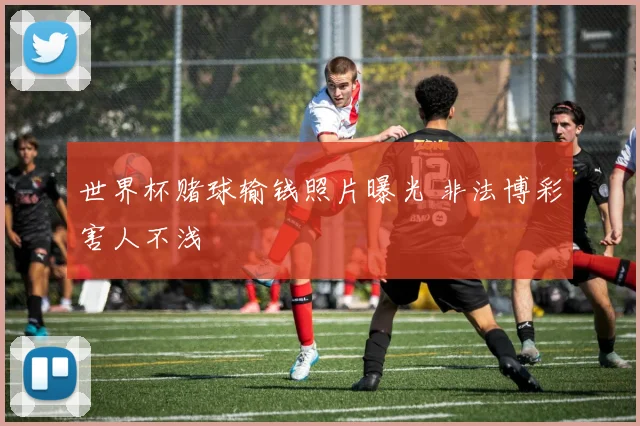 世界杯赌球输钱照片曝光 非法博彩害人不浅