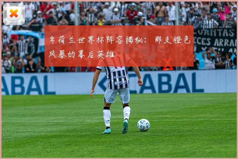 年荷兰世界杯阵容揭秘：那支橙色风暴的幕后英雄