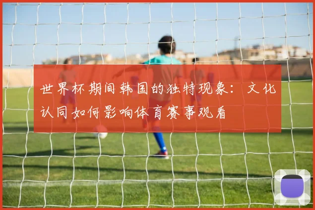 世界杯期间韩国的独特现象：文化认同如何影响体育赛事观看