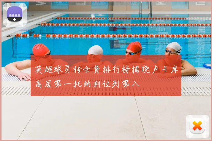 英超球员转会费排行榜揭晓卢卡库高居第一托纳利位列第八