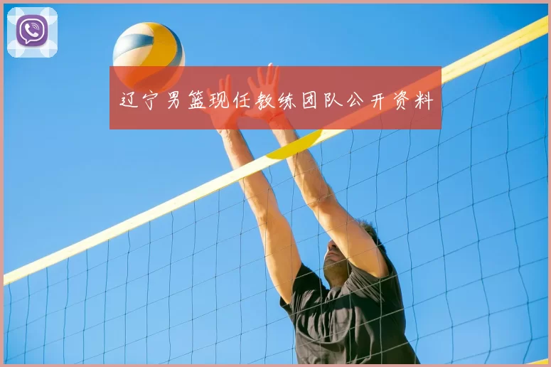 辽宁男篮现任教练团队公开资料