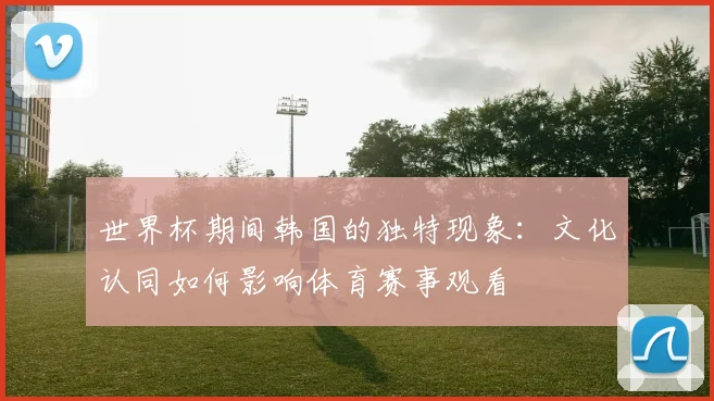 世界杯期间韩国的独特现象：文化认同如何影响体育赛事观看