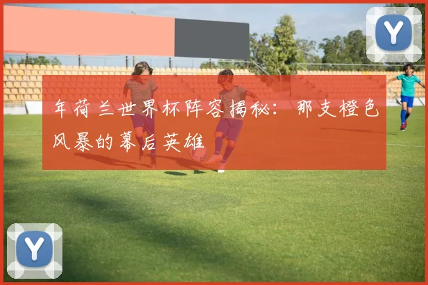 年荷兰世界杯阵容揭秘：那支橙色风暴的幕后英雄