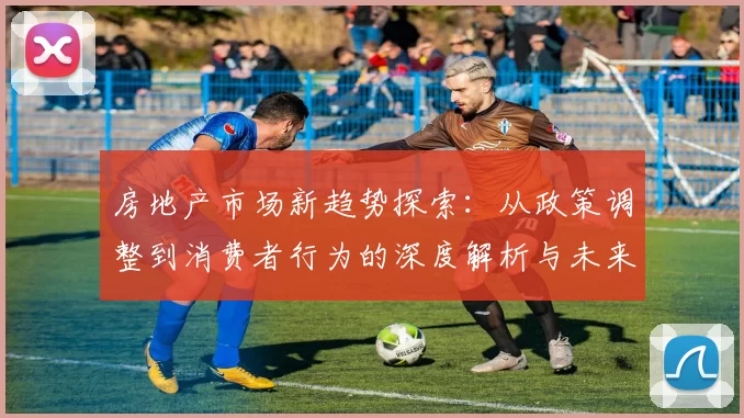房地产市场新趋势探索：从政策调整到消费者行为的深度解析与未来发展展望