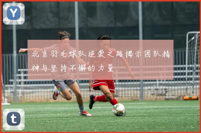 北京羽毛球队逆袭之路揭示团队精神与坚持不懈的力量