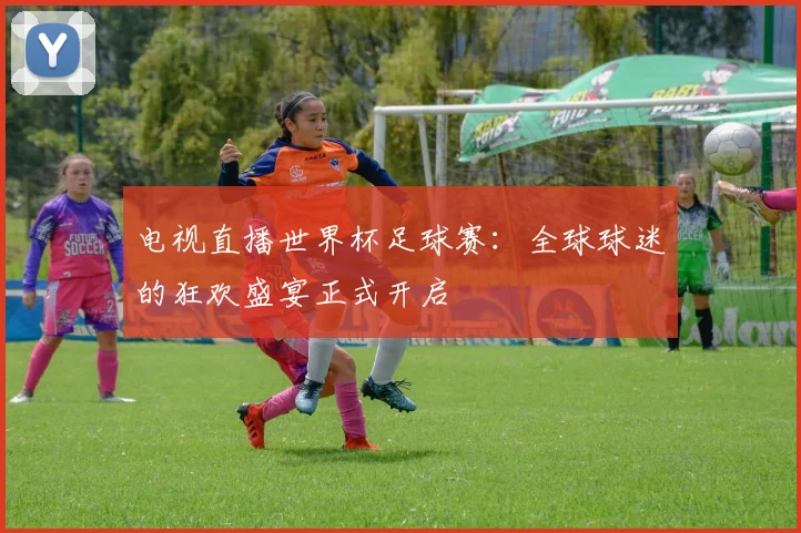 电视直播世界杯足球赛:全球球迷的狂欢盛宴正式开启